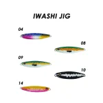 IWASHI JIG 25g