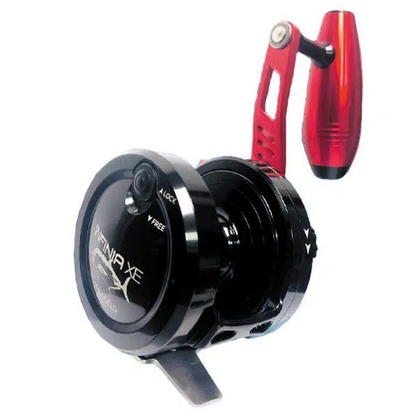 Pioneer - Infinia XE Reel