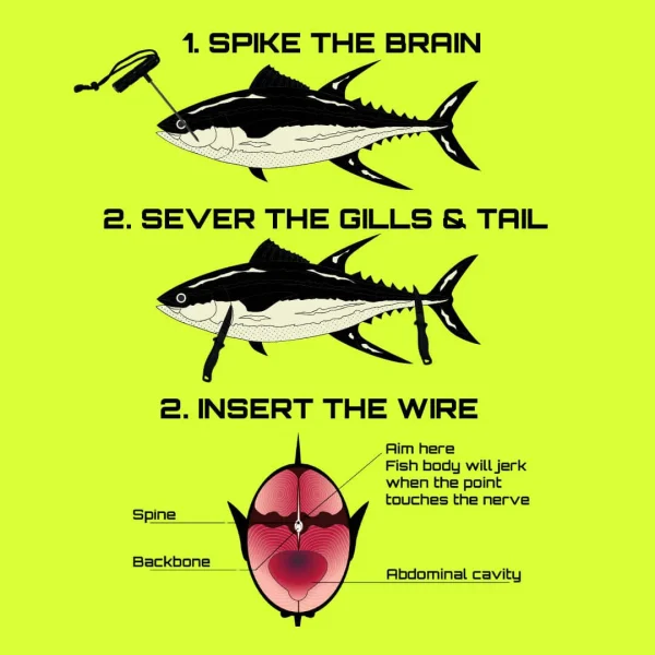 JYG PRO - IKEJIME PRO KIT